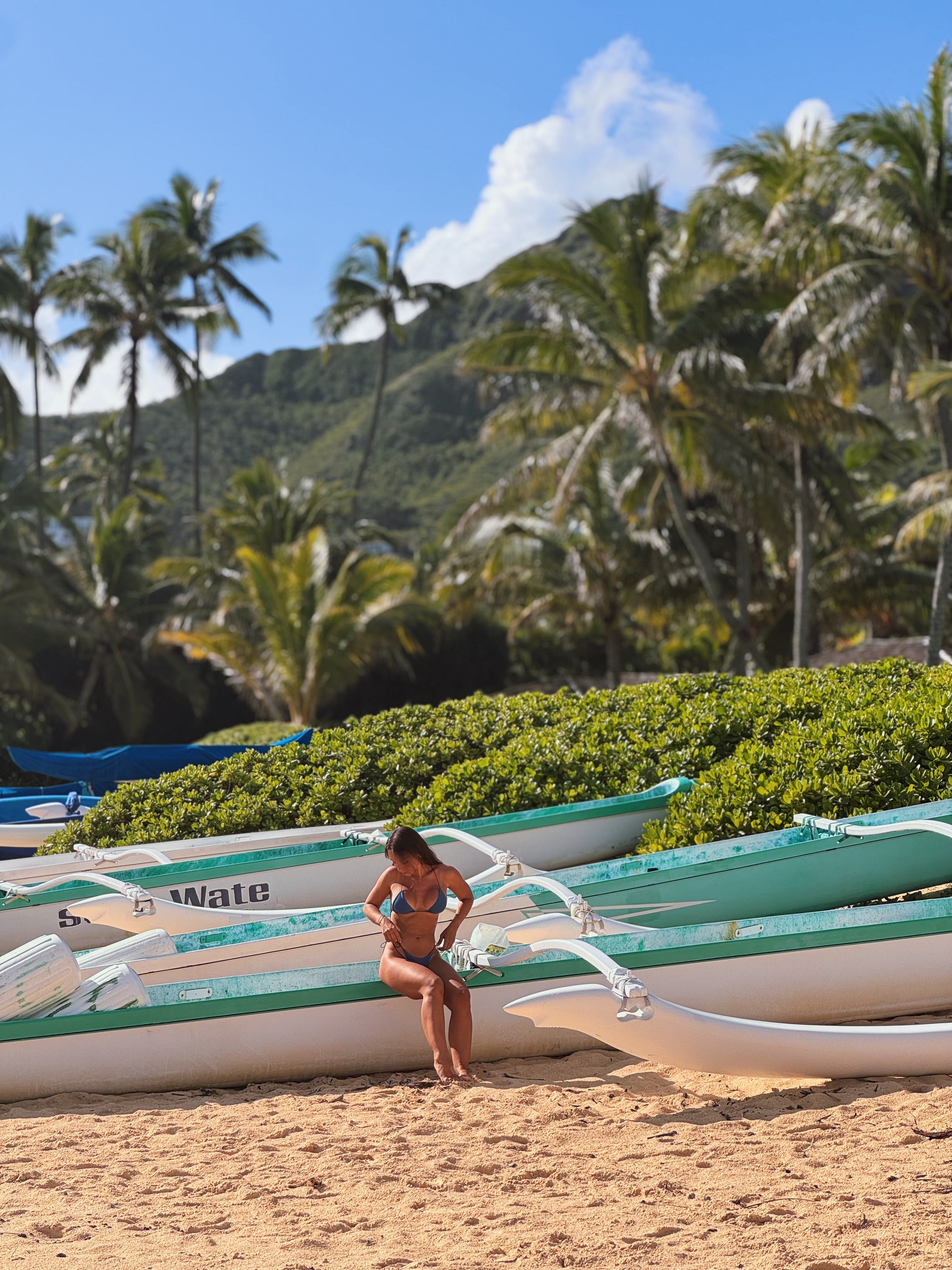 Bottom Maui Trinidad